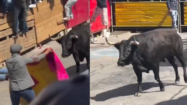 Festejo taurino en México deja dos muertos y 11 heridos durante una tradicional celebración
