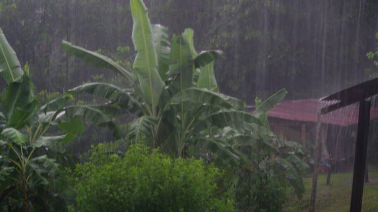 Alerta del Inamhi: Lluvias intensas y tormentas azotarán la Amazonía hasta el 28 de junio