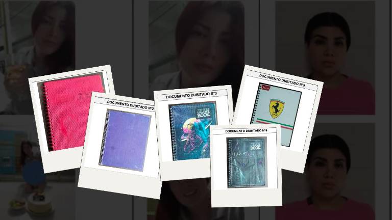 Una recopilación de fotos de los cuadernos incautados tanto en la celda de Verónica Briones como en el búnker donde capturaron a alias Fito.