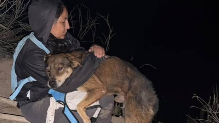 La Unidad de Bienestar Animal rescata y atiende a mascotas tras incendio forestal en el Cerro Casitagua