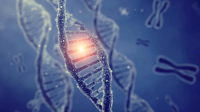 Leucemia mieloide aguda: identifican seis genes que podrían predecir la supervivencia