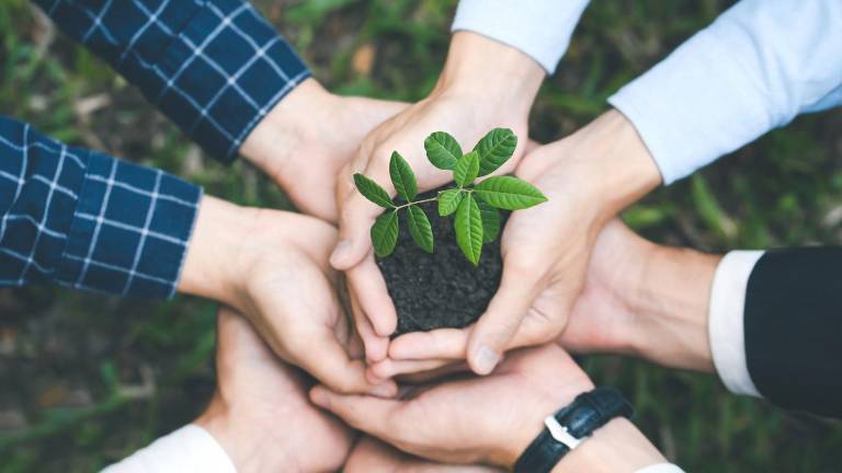 Iniciativa Darwin 2026: Cómo postular a los fondos del Reino Unido para proyectos ambientales en Ecuador