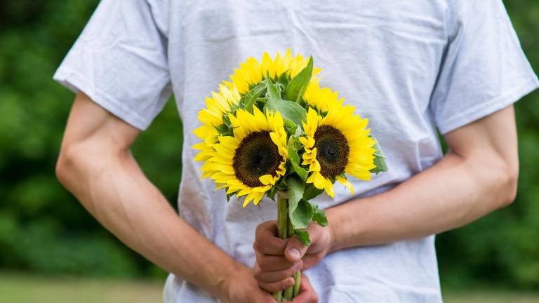 Flores amarillas el 21 de septiembre: el origen de la tendencia viral y qué significan