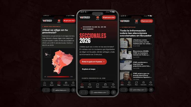 Todo lo que debes saber de la Elecciones seccionales en Ecuador: mira el especial interactivo de Vistazo