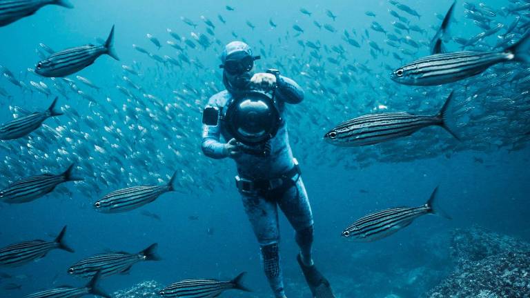 Apnea en Ecuador: ¿Cómo es la experiencia de explorar el océano a puro pulmón?