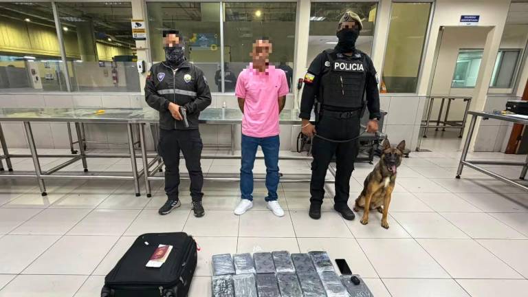 Un canino antinarcóticos alertó el envío de casi 20 kilos de cocaína a España en el aeropuerto de Guayaquil