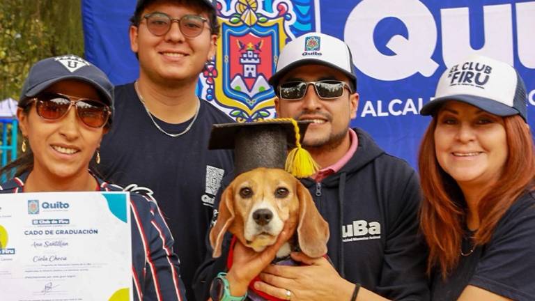 'El club de Firu': cómo inscribirse en la escuela gratuita para perros en Quito