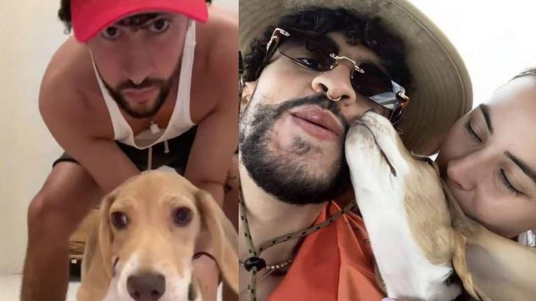 El nombre de la perrita de Bad Bunny aviva rumores sobre un posible regreso con Gabriela Berlingeri