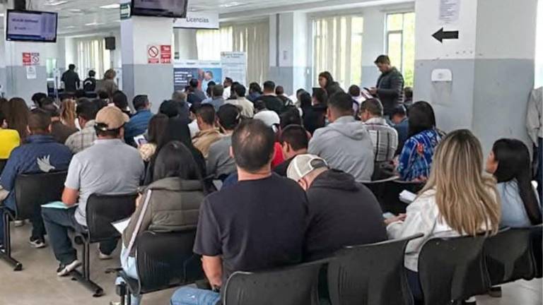 Licencias en Ecuador: ANT implementa atención por el último dígito de la cédula desde el 20 de julio