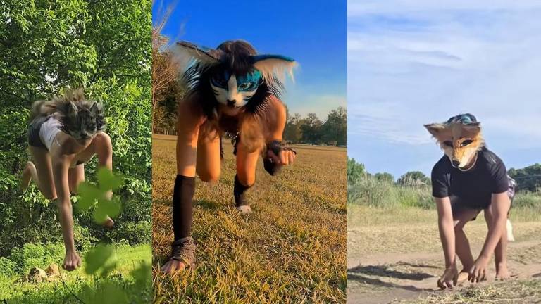Jóvenes en Argentina y Uruguay visibilizan en redes su identificación con animales bajo el nombre de “therian”.