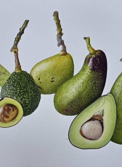 Obra de la artista ecuatoriana Jenny Ordóñez Barragan, que forma parte de la exposición.