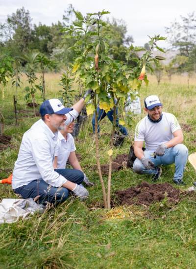 Voluntarios y colaboradores de Bupa participaron en la jornada de reforestación.