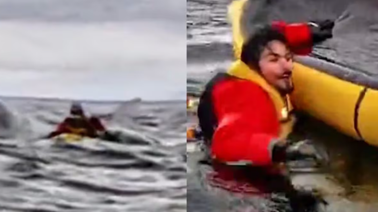 VIDEO | El aterrador momento en que un joven fue tragado y escupido por una ballena: 'Vi algo gigantesco, oscuro y carnoso'