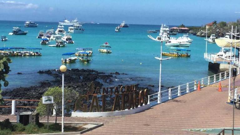 El 39 % de los sitios monitoreados de la isla Santa Cruz mostraron contaminación.