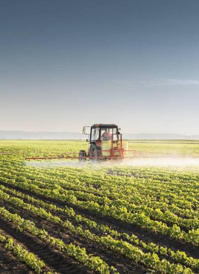 Ecuador se encuentra en un momento clave para avanzar hacia un desarrollo competitivo y sostenible de su agroindustrias. (foto referencial)