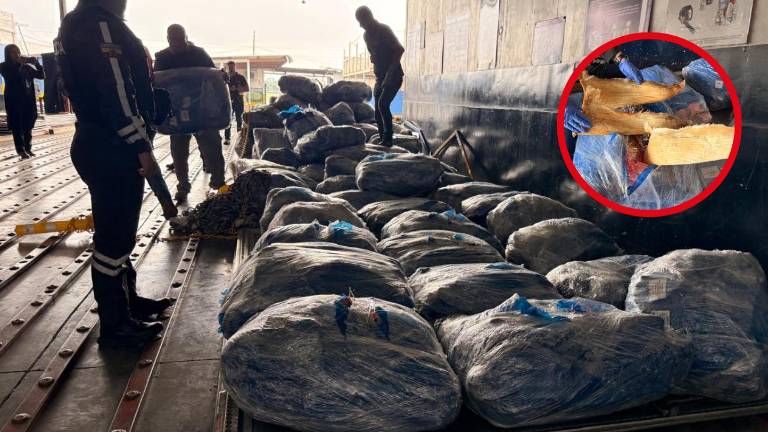 Decomisan más de 21.000 aletas de tiburón en el aeropuerto de Guayaquil