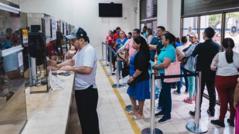 Guayaquil: Contribuyentes con RUC deben pagar la Patente Municipal 2026