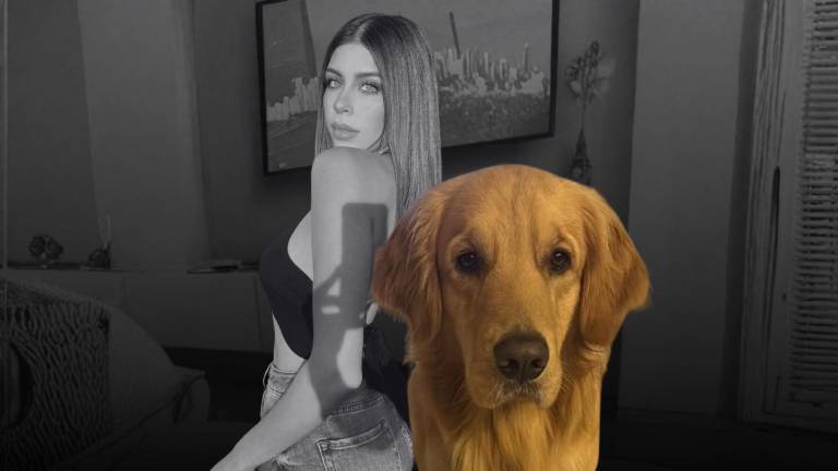 Caso Carolina Flores: suegra habría utilizado un perro como carnada para asesinarla