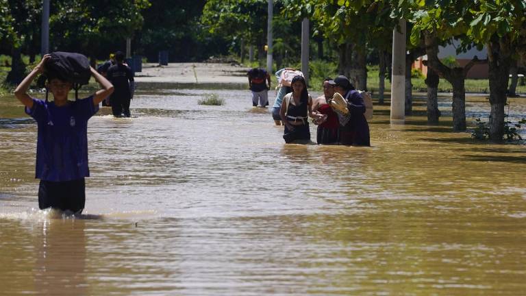 Fenómeno El Niño en Ecuador: preparan alojamientos temporales para más de 567.000 personas