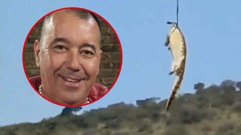 Horror: cocodrilo habría devorado a un empresario hotelero en Sudáfrica