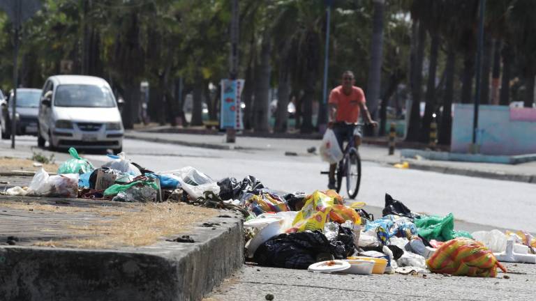 Crisis de plástico en Ecuador: 40% de estos residuos se maneja mal y ya contamina todos los ecosistemas del país