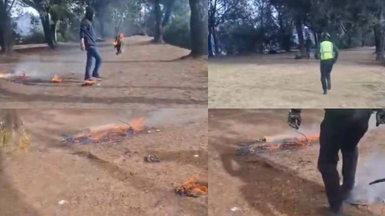 Detienen a una persona que habría estado intentando quemar cables en un bosque de Quito
