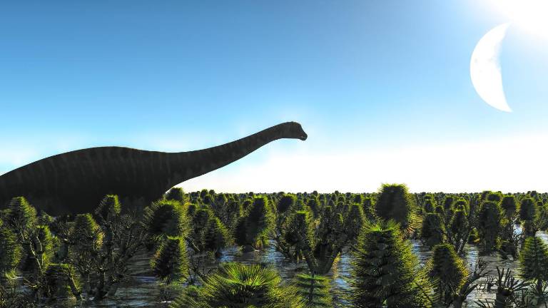 Hallan fósiles de un nuevo dinosaurio gigante en la Amazonía ecuatoriana