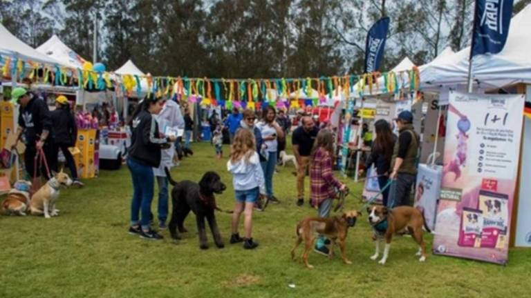 Festivanimal Guayaquil 2026: fechas, lugar y actividades de la feria gratuita para mascotas