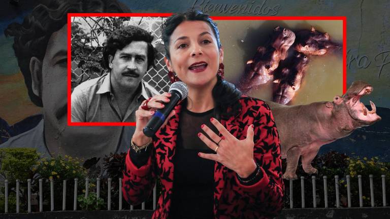 Colombia aplicará eutanasia a 80 hipopótamos de Pablo Escobar para frenar crisis ambiental