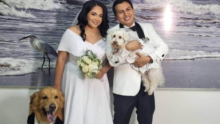 Ceremonias con animales de compañía se incoporan en el Registro Civil en varias provincias del país