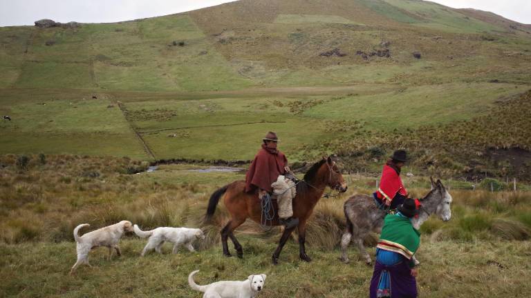 Crédito Semilla Segura se amplía a productores de la Sierra y Amazonía