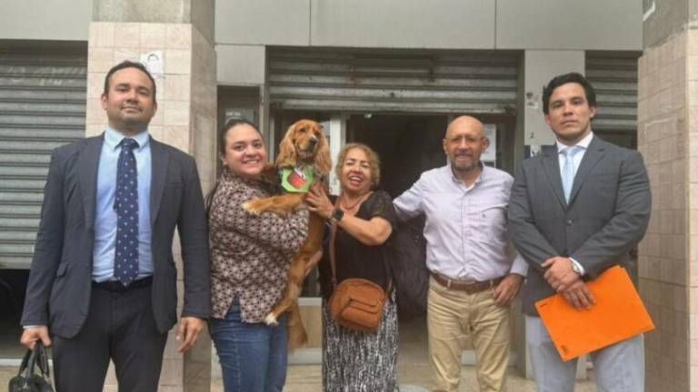 Capuccino volvió con sus abuelos: esta fue la resolución del juez en Daule