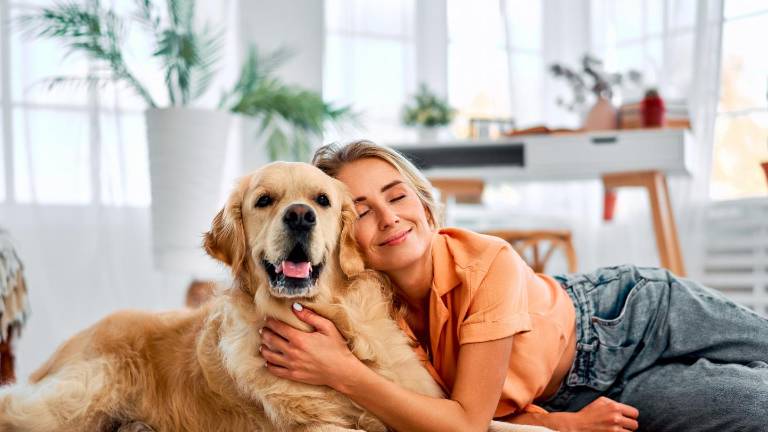 La 'paternidad de mascotas' transforma el mercado veterinario en América Latina