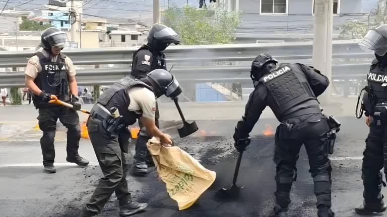 Paro en Ecuador: vías fueron habilitadas tras operativos en Pichincha y Chimborazo​​​​​​