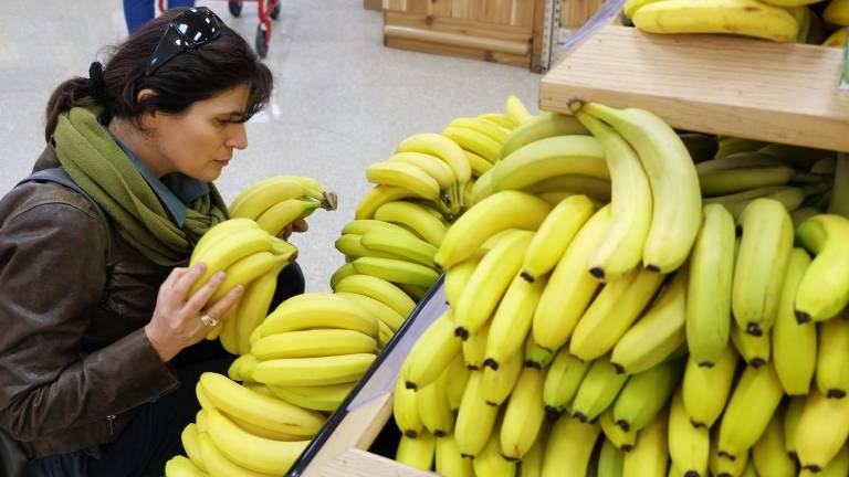 El banano ecuatoriano llega a los supermercados de la Unión Europea, Rusia y Estados Unidos (foto referencial).