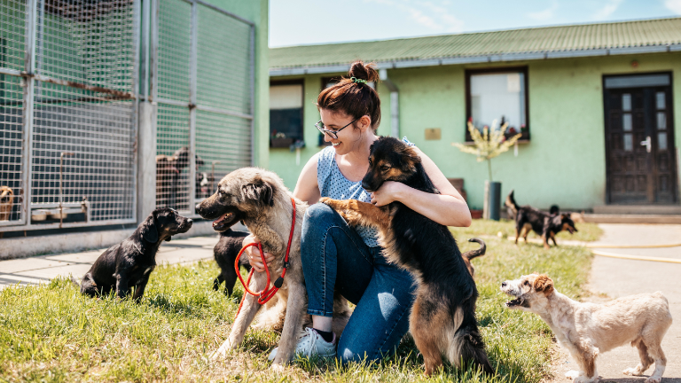‘Adopta Guayaquil’: nueva página web permite dar hogar a mascotas rescatadas