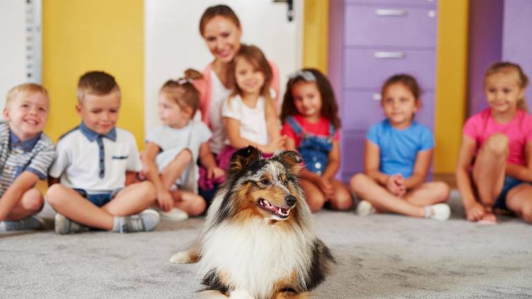 Francia incluye formalmente el cuidado de mascotas en las escuelas para enseñar empatía