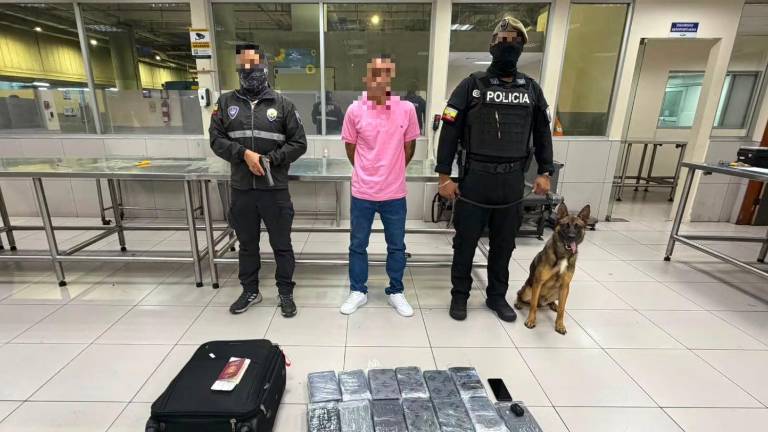 Un canino antinarcóticos alertó el envío de casi 20 kilos de cocaína a España en el aeropuerto de Guayaquil