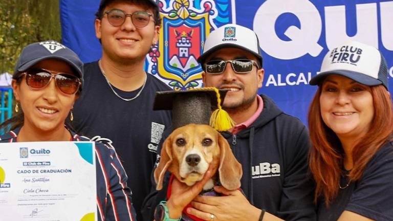'El club de Firu': cómo inscribirse en la escuela gratuita para perros en Quito