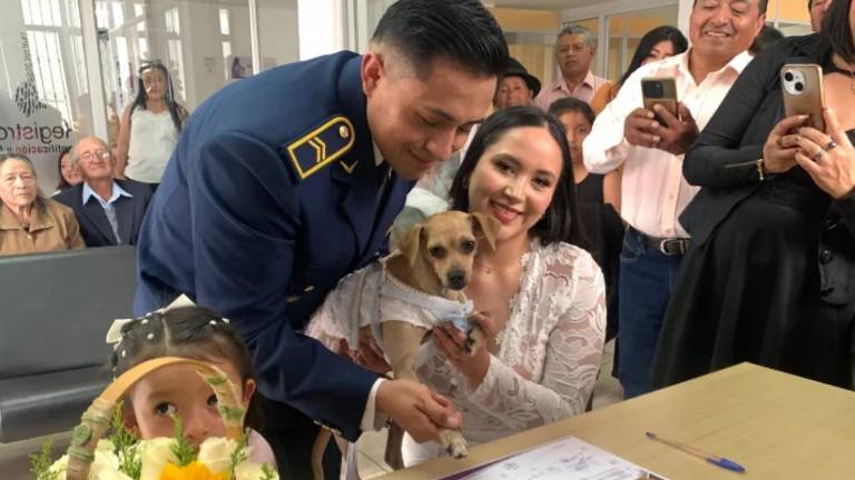 Bodas 'Pet Friendly' en Ecuador: las mascotas ahora pueden ser testigos en el Registro Civil