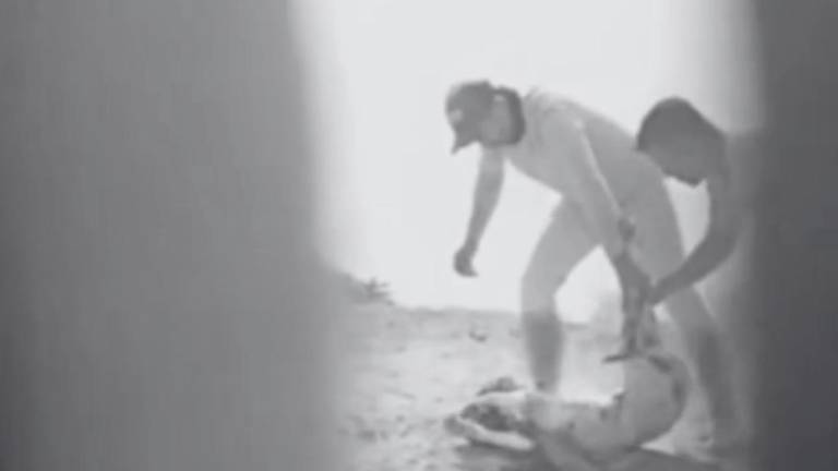 Caso Isla Puná: tras más de un mes, colectivos denuncian inacción por parte del Municipio de Guayaquil