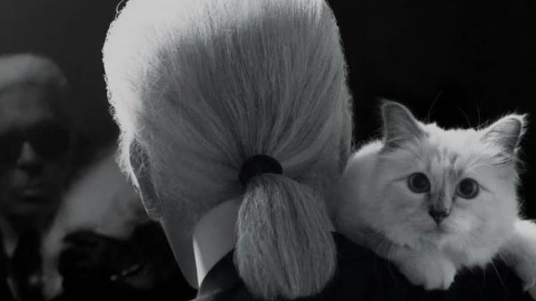 La verdad sobre Choupette: gata de Karl Lagerfeld no ha recibido su millonaria herencia