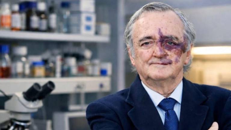 Retiran la publicación de un estudio de Mariano Barbacid sobre cáncer de páncreas por conflicto de intereses