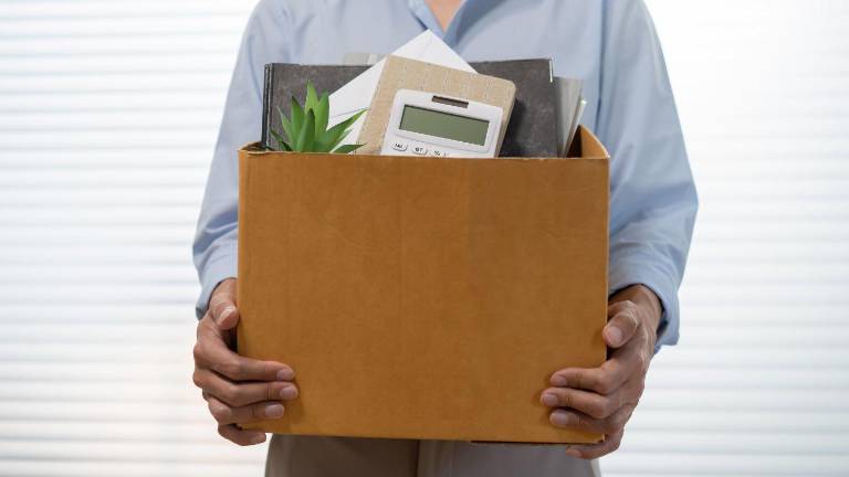 Seguro de desempleo del IESS: guía completa para saber quiénes pueden cobrarlo y cómo solicitarlo