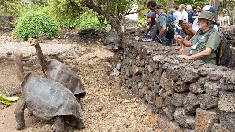 Parque Nacional Galápagos actualiza sus reglas de visita: estas son las nuevas normas y restricciones