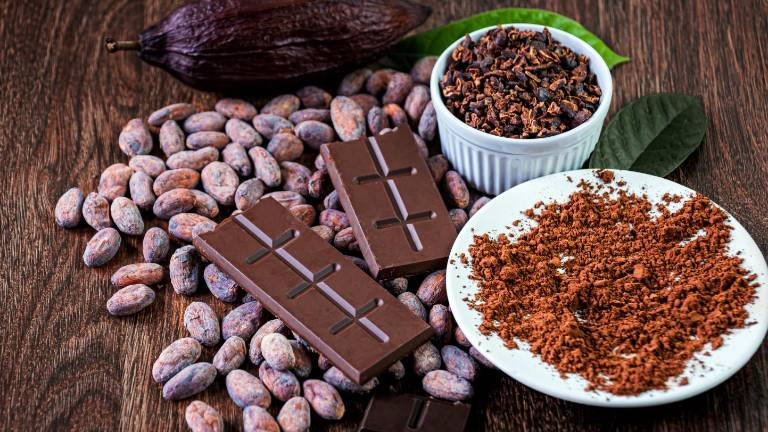 Se abre concurso para que productores de cacao ecuatoriano exhiban sus productos en Francia: Así se puede postular