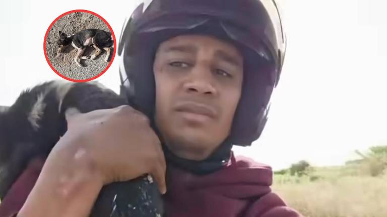 Sentencian con ocho meses de prisión a conocido youtuber por consumir un perro en Marruecos