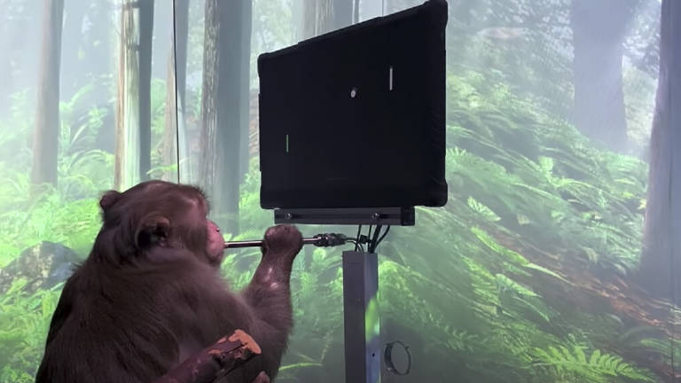 ¿El futuro de los implantes cerebrales?: un mono juega un videojuego con la mente