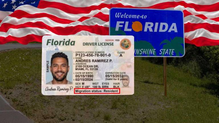 Licencias de conducir en Florida mostrarán ciudadanía en EE.UU.: ¿desde cuándo?