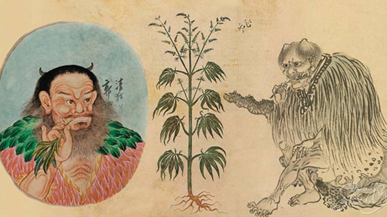 El cannabis se fumaba de forma ritual en China hace 2.500 años